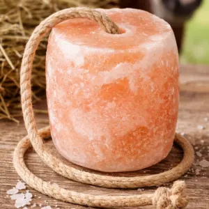 pink salt export from pakistan